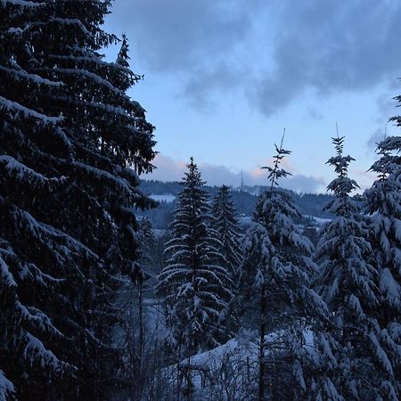 Willa Franciszek Zakopane Exteriér fotografie