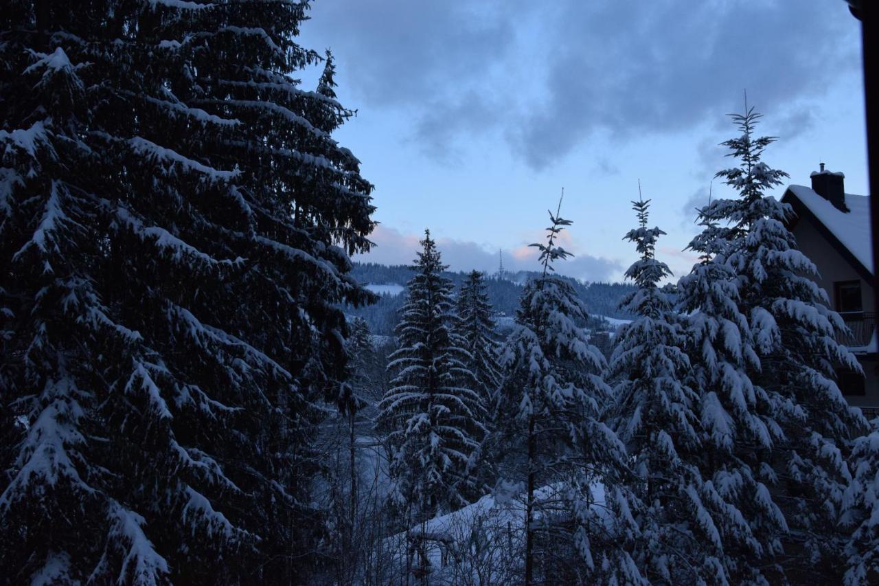 Willa Franciszek Zakopane Exteriér fotografie